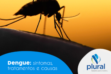 Dengue: sintomas, tratamentos e causas